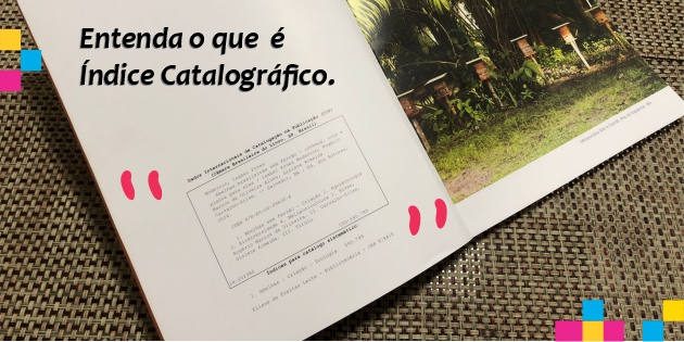 Se você é escritor, já teve a necessidade de saber como organizar eficientemente o conteúdo do seu livro para facilitar a navegação dos leitores pelo índice catalográfico.